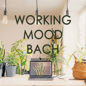 Working Mood - Bach album