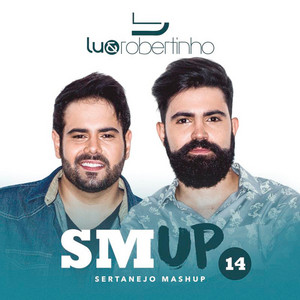 Sertanejo Mashup 14 cover