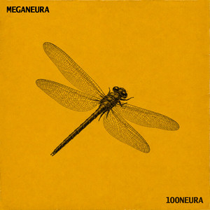 Sem neura e Sem noção by 100Neura