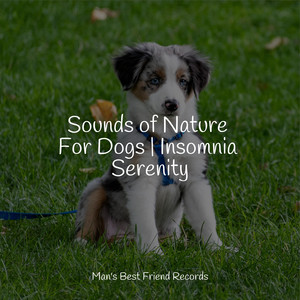 Sounds of Nature For Dogs | Insomnia Serenity album