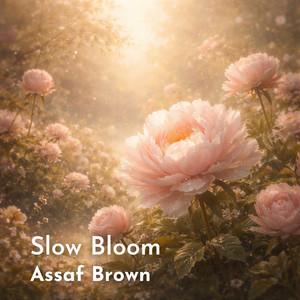 Slow Bloom by Assaf Brown