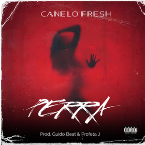 Perra by Canelo Fresh