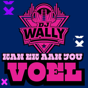 KAN EK AAN JOU VOEL by Dj Wally