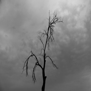 ياليت ابي by ابو سويحل