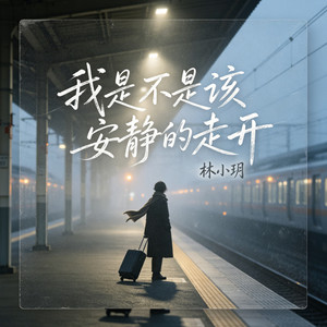 我是不是该安静的走开 (深情版) by 林小玥