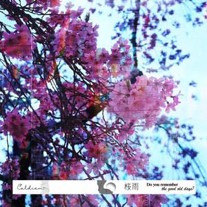 桜雨 by Caldiem.