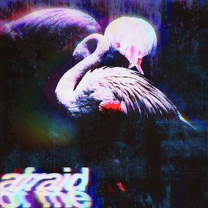 Afraid Of Me by Grommet