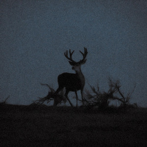 Stefan Karanov - d3ath (remastred)