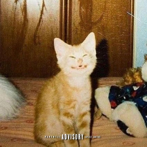 why are they staring?