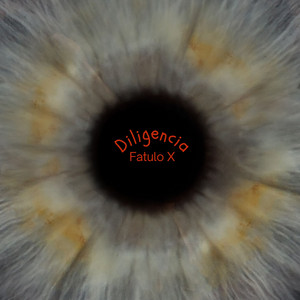 Diligencia by fatulo X