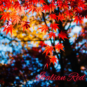 Italian Red by 源治麿