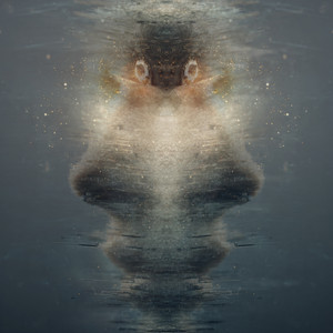 Ocean In The Water by Rogue Tide