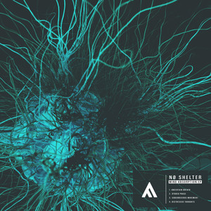 NØ Shelter poster