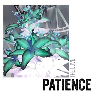 Patience by The Cove