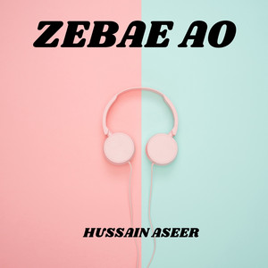 Hussain Aseer - Zeba Shapes