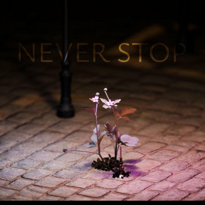 Never Stop by Aejisei