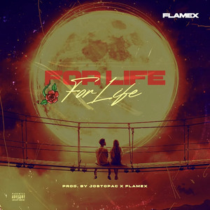 For Life by Flamex