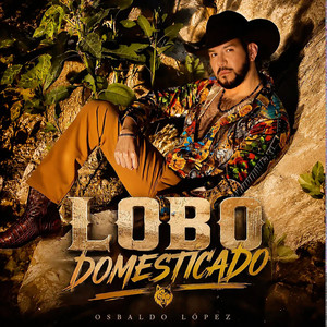 Lobo Domesticado by Osbaldo Lopez