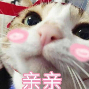 阿穎不說話 - 想要你知道