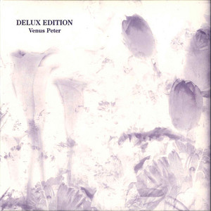 DELUXE EDITION(THE BEST OF V.P) cover