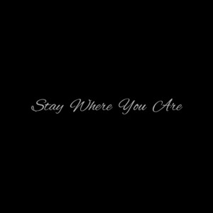 Stay Where You Are