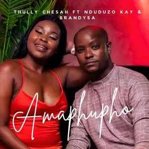 Amaphupho (feat. Nduduzo Kay & BrandySA)