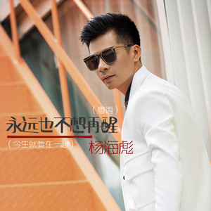 永远也不想再醒 - Dj沈念版 by 杨海彪, DJ沈念