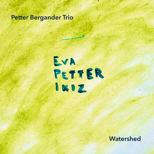 If I Would Have Known by Petter Bergander Trio, Petter Bergander, Eva Kruse, Ikiz