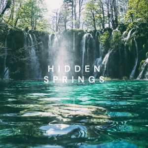 Hidden Springs by Drops of Venus