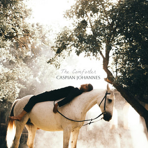 The Comforter by Caspian Johannes