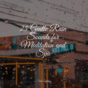 25 Gentle Rain Sounds for Meditation and Spa album