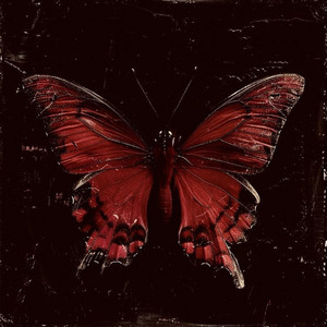 Take Me Home by kalisa dardale