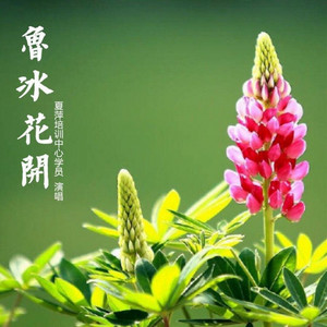 鲁冰花开 - 邯郸二中合唱团版