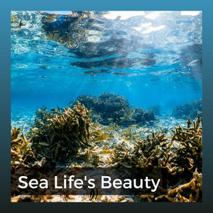 Sea Life's Beauty album