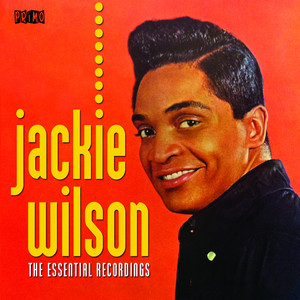 Audio Jacqueline Wilson The Essential その他