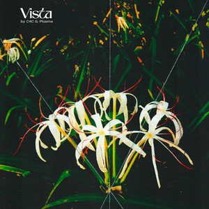 Vista by C4C, Plusma