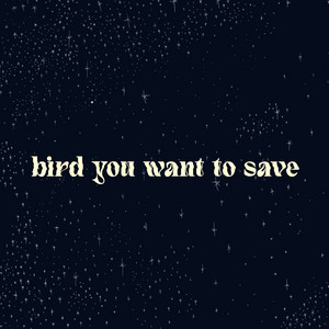 Bird You Want To Save by Vau