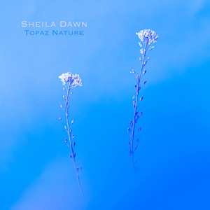 Topaz Nature by Sheila Dawn
