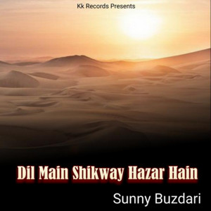 Sunny Buzdari - Dil Main Shikway Hazar Hain