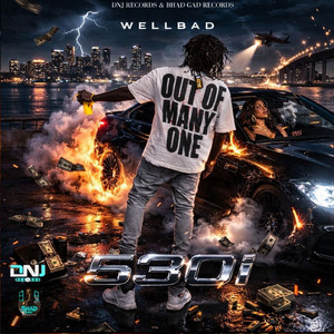 530I by Wellbad
