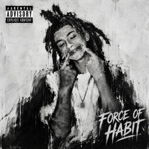 Force Of Habit by Flogo