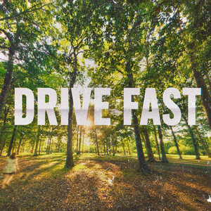 Drive Fast by The Nap Cats