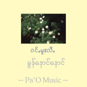 Pa'O Music - ဝင်ꩻမူႏလီꩻ