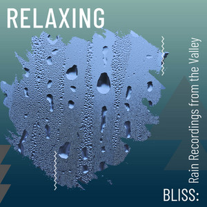 Relaxing Bliss: Rain Recordings from the Valley album