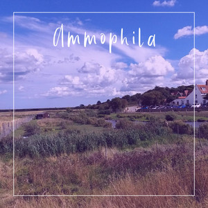 Ammophila by Heavy Blink