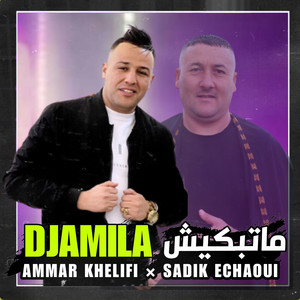 Ammar Khelifi - Ma Tebkich Djamila (feat. Saddik El Chaoui)