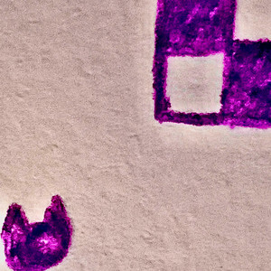 Missing Texture