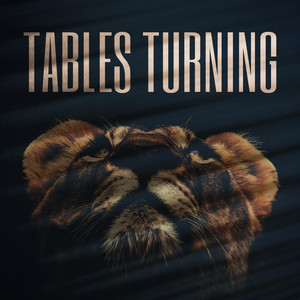 Tables Turning