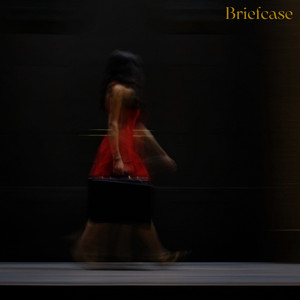 Briefcase