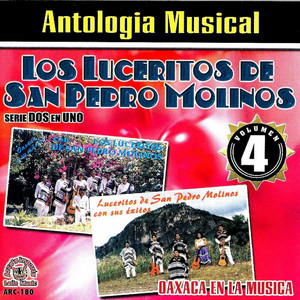 Los Luceritos De San Pedro Molinos - Vestida De Color De Rosa